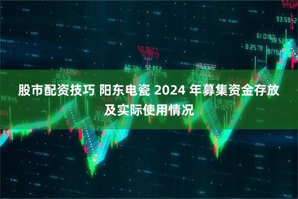 股市配资技巧 阳东电瓷 2024 年募集资金存放及实际使用情况