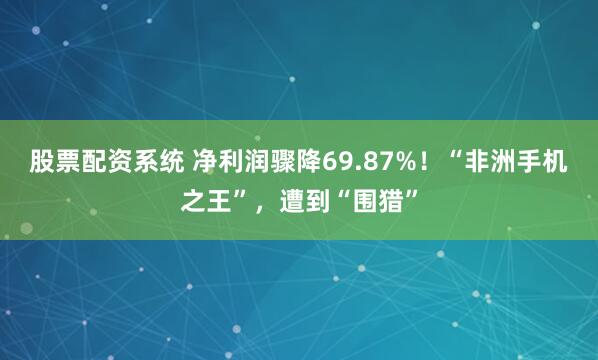 股票配资系统 净利润骤降69.87%！“非洲手机之王”，遭到“围猎”