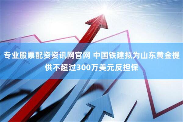 专业股票配资资讯网官网 中国铁建拟为山东黄金提供不超过300万美元反担保