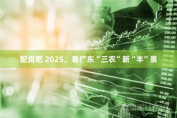 配资吧 2025，看广东“三农”新“丰”景