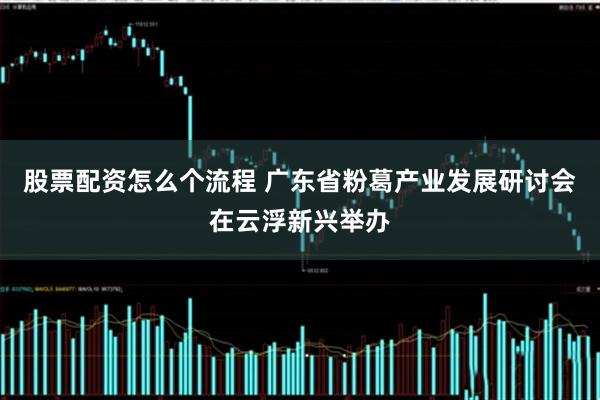 股票配资怎么个流程 广东省粉葛产业发展研讨会在云浮新兴举办