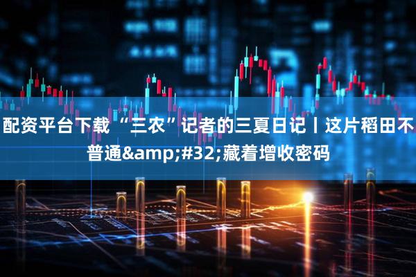 配资平台下载 “三农”记者的三夏日记丨这片稻田不普通 藏着增收密码